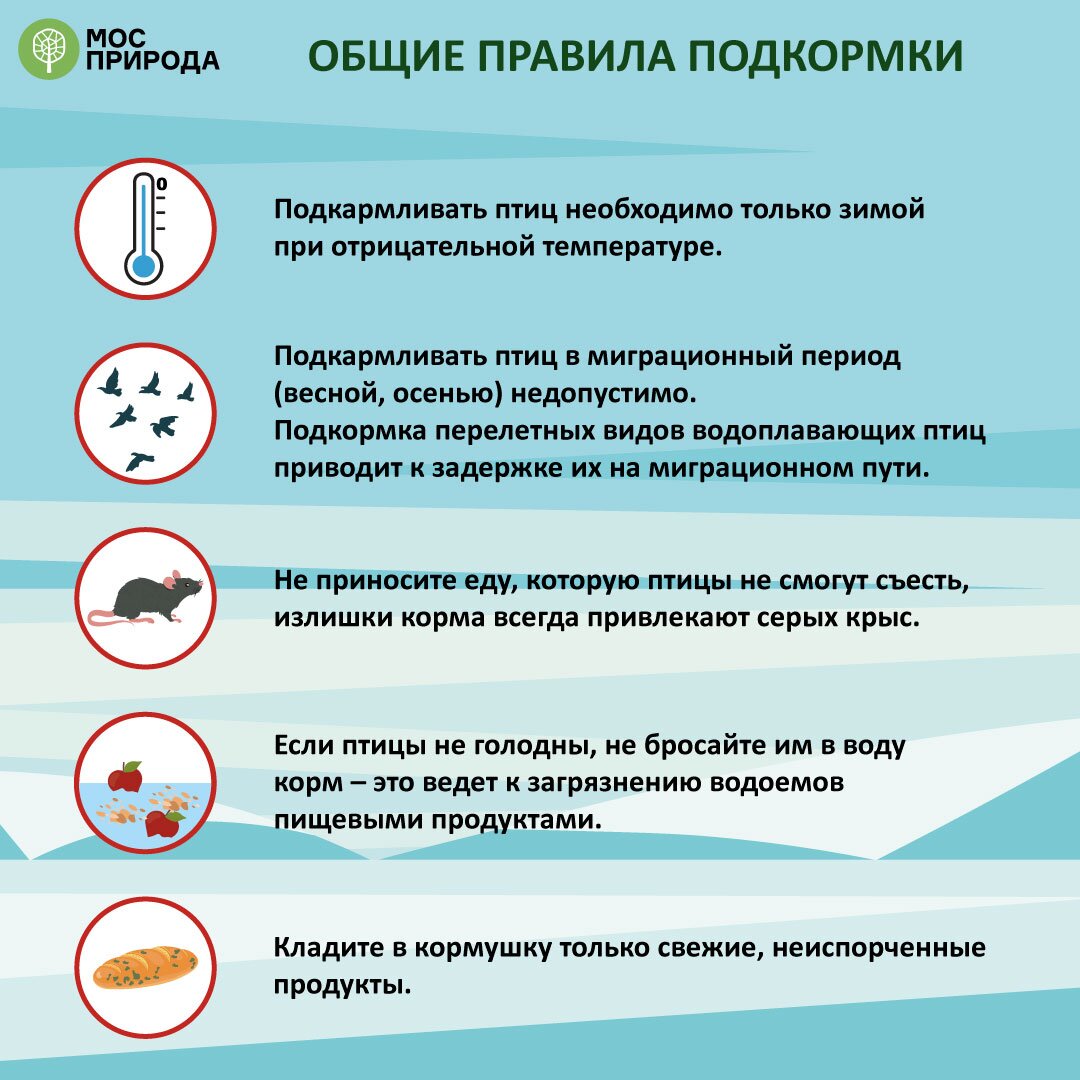 4(383571).jpg 4(383571).jpg