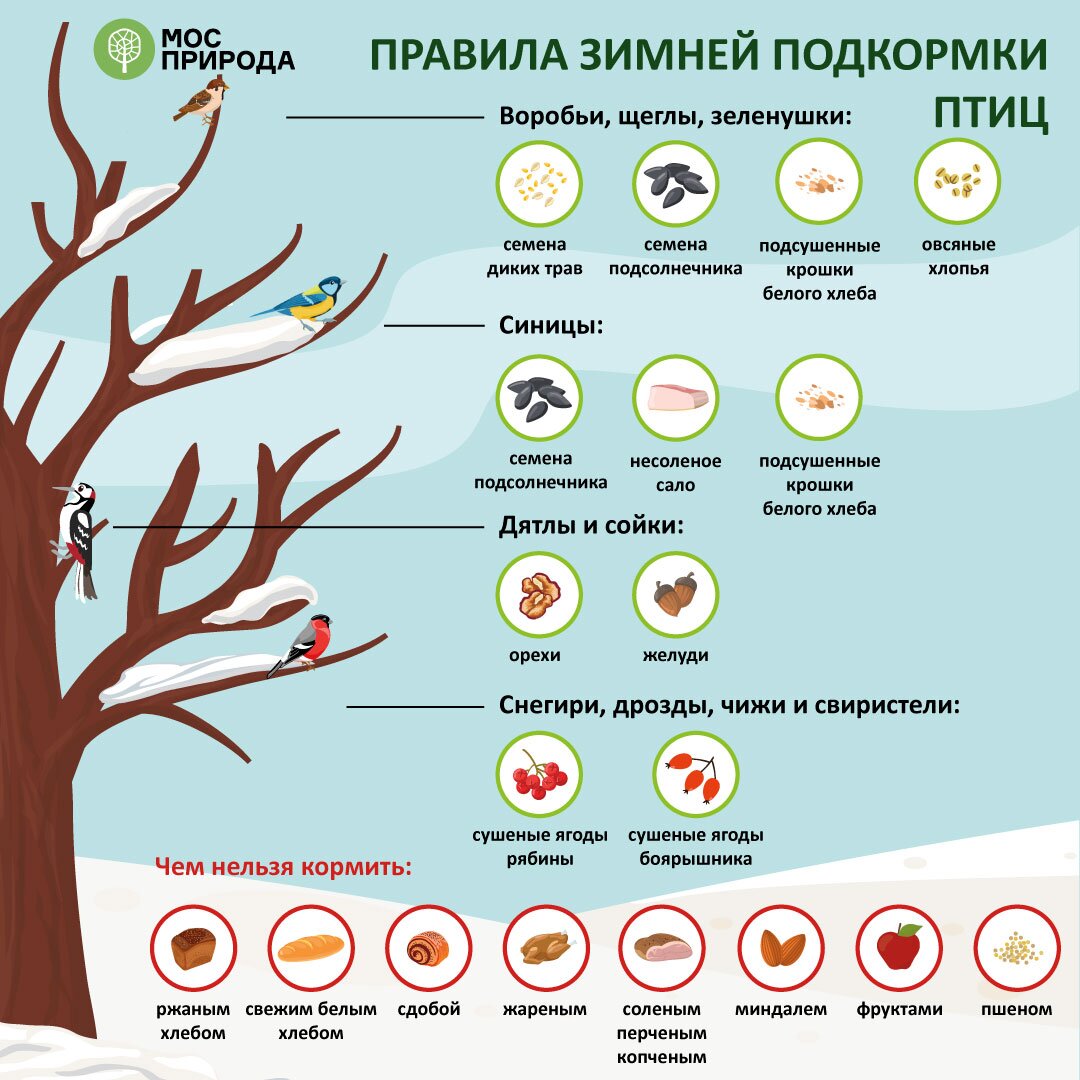 1Glavnaya(113).jpg 1Glavnaya(113).jpg