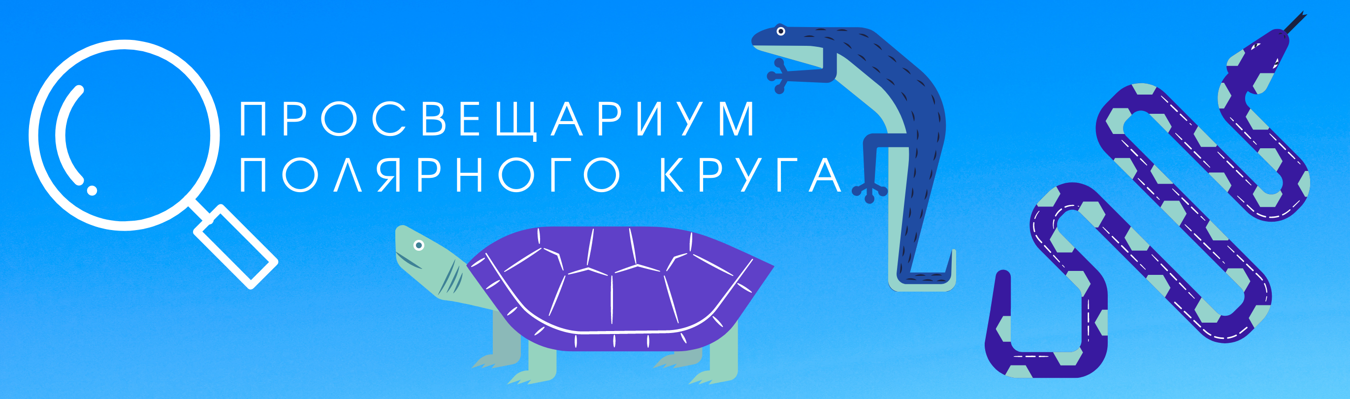 мед профиль(2).png