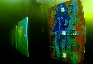 В «Полярном Круге» открылась бессрочная подводная выставка Дениса Лотарева «Поглощение»