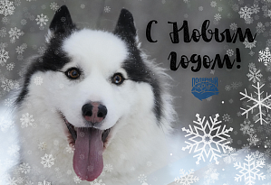 С Новым 2024 годом!