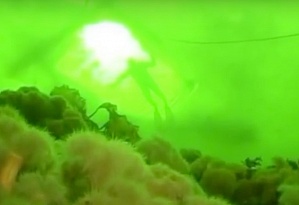 White Sea Ice Diving, Plongee sous glace de la mer Blanche.