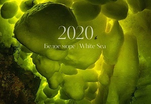 Красоты Белого моря на календаре от PhotoTeam.Pro