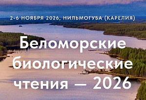 Регистрация на конференцию «Беломорские биологические чтения» продлена до 1 октября 2026 г.